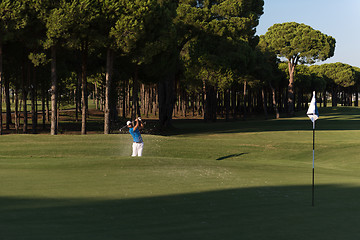 Image showing pro golfer hitting a sand bunker shot