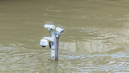 Image showing River Seine Flooding in Paris