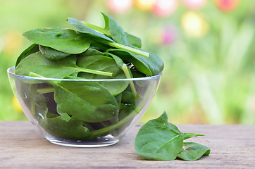 Image showing Spinach in a glass bowl