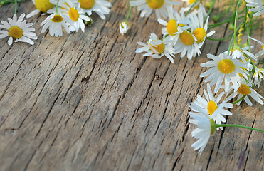 Image showing Chamomile flowers on a wooden background