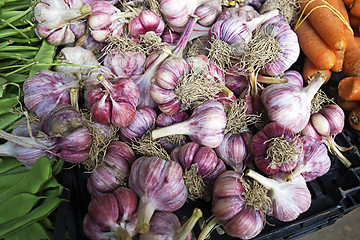 Image showing Garlic cloves