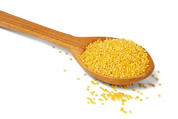 Image showing Proso millet