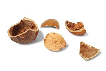 Image showing Hazelnut with broken shell