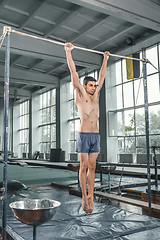 Image showing Male gymnast performing handstand on parallel bars