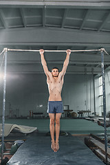Image showing Male gymnast performing handstand on parallel bars