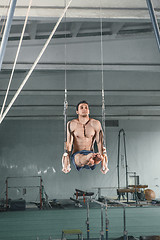 Image showing Gymnast on Stationary Rings