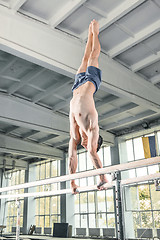 Image showing Male gymnast performing handstand on parallel bars