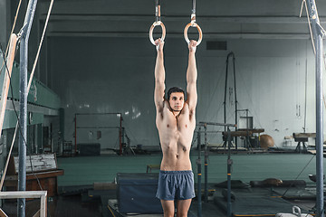 Image showing Gymnast on Stationary Rings