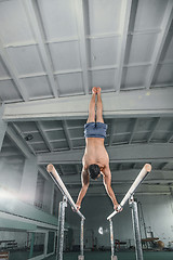 Image showing Male gymnast performing handstand on parallel bars