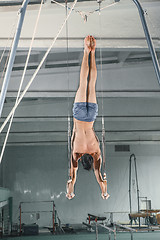 Image showing Gymnast on Stationary Rings