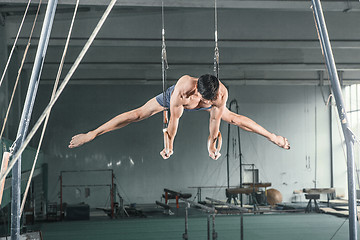 Image showing Gymnast on Stationary Rings