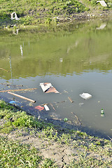 Image showing Rubbish, waste floating in polluted pond