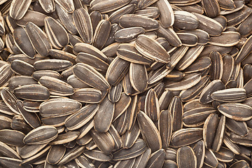 Image showing Sunflower seeds