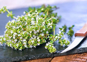 Image showing Thyme