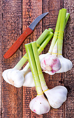 Image showing garlic