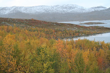 Image showing Swedish Autum