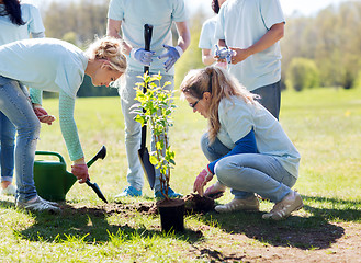 Image showing group of volunteers planting tree in park