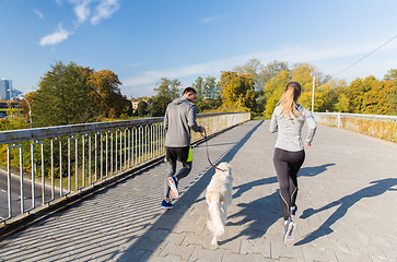 Image showing close up of couple with dog running outdoors