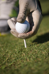 Image showing golf player placing ball on tee