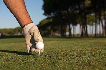 Image showing close up of golf players hand placing ball on tee