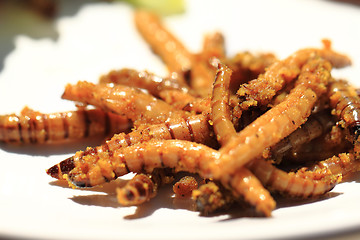 Image showing grilled worm with curry