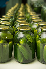 Image showing gurtsov conservation. Fresh cucumbers in jars