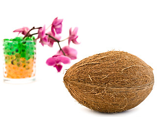 Image showing Coconut