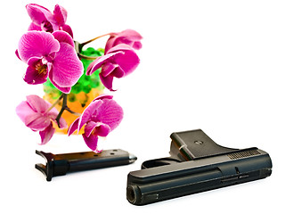 Image showing Gun and Flower