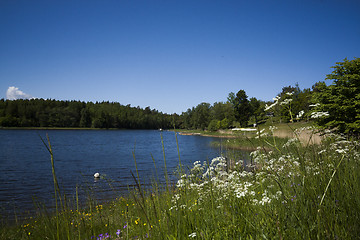 Image showing blue water