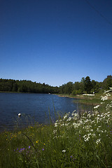 Image showing shoreline