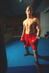 Image showing fighter in red shorts