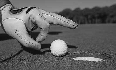 Image showing man\'s hand putting golf ball in hole