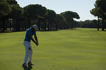 Image showing golf player hitting shot