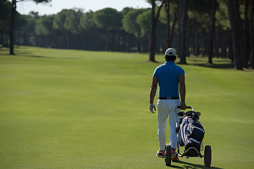 Image showing golf player walking with wheel bag