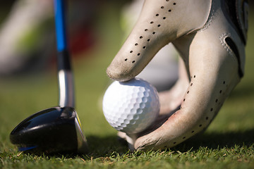 Image showing golf player placing ball on tee