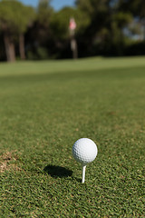 Image showing golf ball on tee