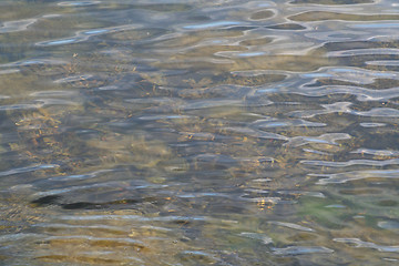 Image showing Shallow waters