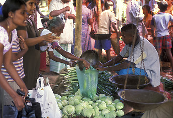 Image showing SRI LANKA HIKKADUWA MARKET