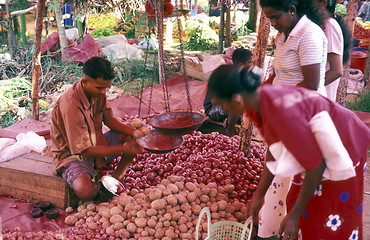 Image showing SRI LANKA HIKKADUWA MARKET