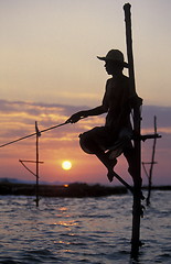 Image showing SRI LANKA WELIGAMA FISHERMEN