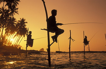 Image showing SRI LANKA WELIGAMA FISHERMEN