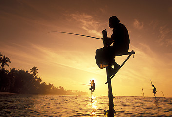 Image showing SRI LANKA WELIGAMA FISHERMEN