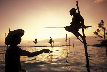 Image showing SRI LANKA WELIGAMA FISHERMEN