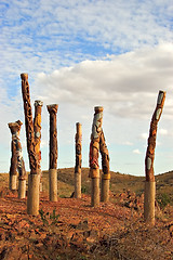 Image showing aboriginal poles