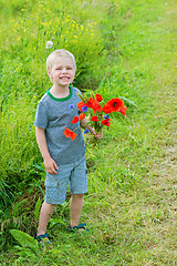 Image showing Cute boy in field with red poppies bouquet