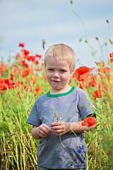 Image showing Smiling cute boy in field with red poppies