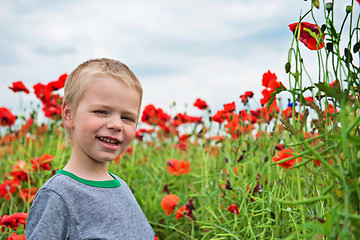 Image showing Happy little boy in field with red poppies