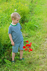 Image showing Cute boy in field with red poppies bouquet