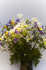 Image showing summer flowers