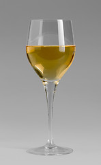 Image showing wine glass in grey back